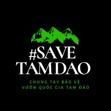 tamdao1