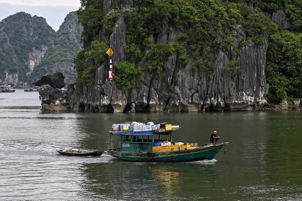 vinhhalong02