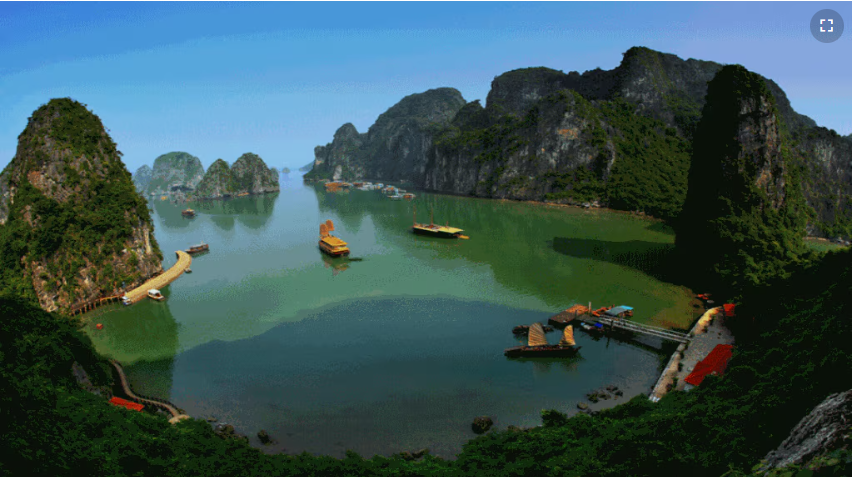 vinhhalong03