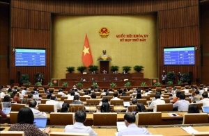 Việt Nam : Độc diễn chính trị và thảm họa