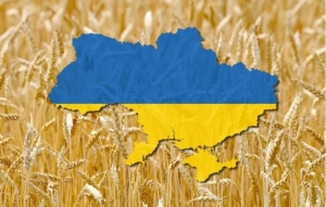 Tranh chấp lúa mì giữa Ukraine và Liên Âu đã được giải quyết ổn thỏa