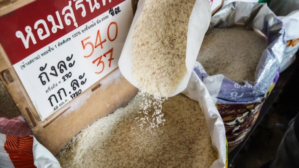 Xuất khẩu gạo : Ấn Độ rút lui, Việt Nam và Thái Lan liền trám chỗ