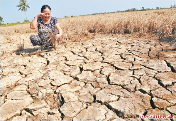 Sông Cửu Long khô hạn, xe ben gây ô nhiễm