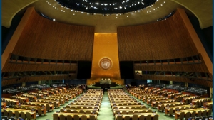 Tham tán ngủ ở Liên Hiệp Quốc : Người chụp hình nói gì