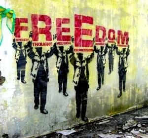Tự do, dân chủ không phải tự nhiên mà có !