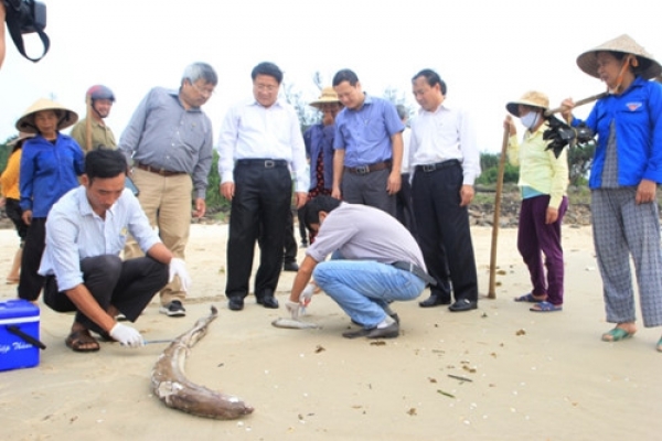 Thảm kịch không có hồi kết : Formosa