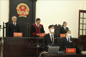 Vai trò của thẩm phán và luật sư trong vụ án Tịnh thất Bồng Lai
