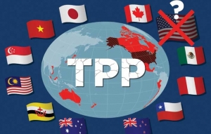 Kinh tế Việt Nam giữa TPP-11 và Hoa Kỳ