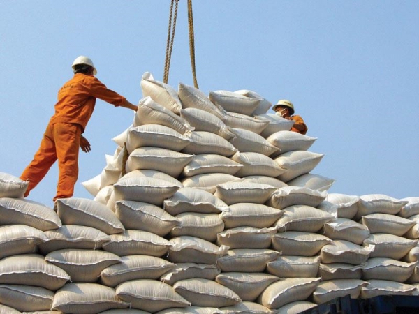 Xuất khẩu gạo : vẫn tự ta đang hại mình ?