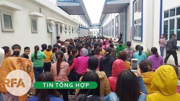 2019 : Tổng kết công tác chống tham nhũng và những vụ đình công