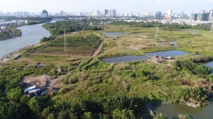 Thoát hàng ngàn tỷ trong phi vụ bán đất công sản tại Thành phố Hồ Chí Minh ?