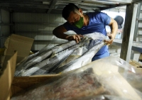 Hàng ngàn tấn hải sản đông lạnh không bán được vì đợt dịch do Covid-19