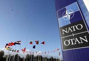 Tìm hiểu thêm về NATO