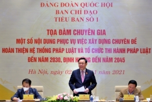 Hệ thống và thực thi pháp luật Việt Nam