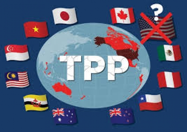 Hiệp định TPP 11, không có Mỹ, có khả thi ?