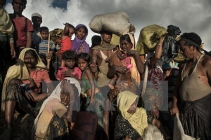 Vấn đề người Rohingya tại Bangladesh ngày càng rối rắm