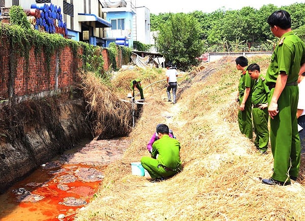 Chất lượng nước, lò mổ heo, bỏ quê ra phố