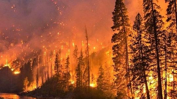 Siberia Nga : Cháy ở phòng thử nghiệm vi trùng độc và cháy rừng nguyên sinh