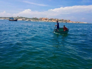 Việt Nam : cá chết, chất thải, tàu cá và mỏ than