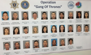 Hành vi tội phạm của người gốc Việt ở Mỹ và Châu Âu