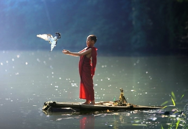Nhân chi sơ tính bản thiện