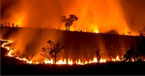 Úc cháy lớn - Sydney vẫn bắn pháo hoa mừng Tết : Viễn cảnh tương lai nhân loại ?