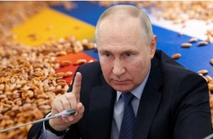 Thời sự quốc tế : Ngũ cốc chỉ là chiến lược đàm phán của Nga
