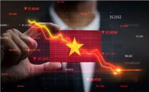 Tăng trưởng kinh tế của Việt Nam mang màu sắc ảm đạm