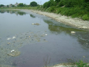Nước thải công nghiệp đang &quot;bức tử&quot; các dòng sông tại Việt Nam