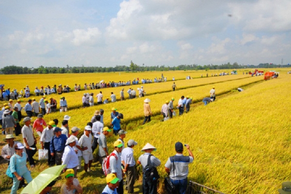 Sau mở rộng hạn điền sẽ đến tư hữu hóa đất đai ?