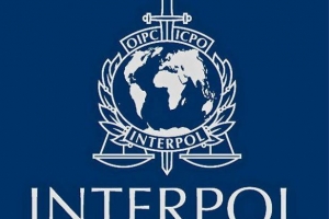 Interpol và điều 165 Bộ Luật hình sự