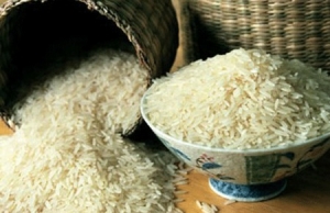 Việt Nam : gạo xuất khẩu, biểu tình bằng xe, Formosa đền tiền, thương lái chuối, kênh Hy Vọng