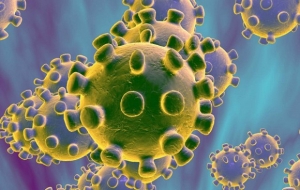 Coronavirus : vi khuẩn mới từ Trung Quốc đe dọa thế giới