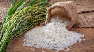 Gạo có nguy cơ tăng giá đẩy Châu Á vào cảnh đói kém ?