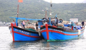 Biển Đông : Căng thẳng khu vực đánh cá giữa các quốc gia ASEAN