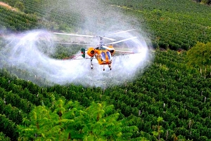Điểm tin báo chí Pháp - Vụ thuốc trừ sâu Monsanto