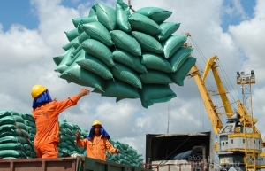 Việt Nam từ xuất khẩu gạo đến nhập khẩu gạo : cái gì đang xảy ra ?