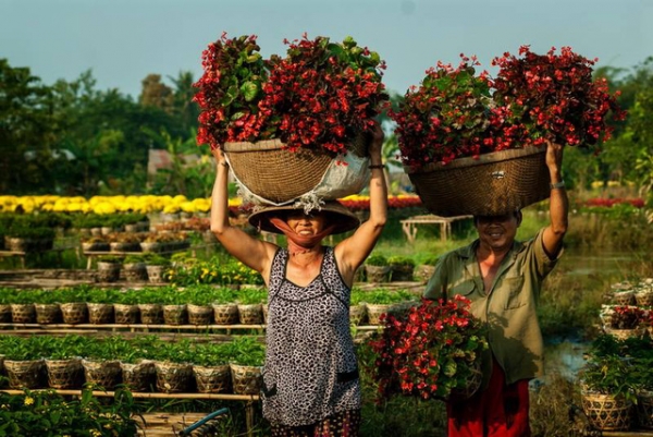 Thời sự Việt Nam : cấm hành lễ, tai nạn giao thông, tín dụng, nhiệt điện than