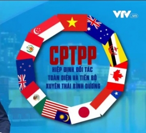 Trở lại hiệp định CPTPP