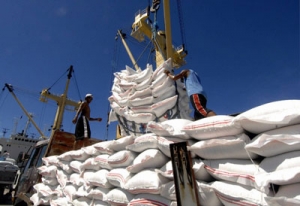 Xuất khẩu gạo : Đổi ngôi nhóm lợi ích ?
