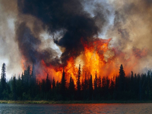 Tháng nóng nhất trong lịch sử, cháy rừng tại Siberia