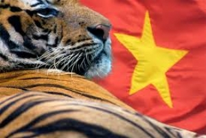 Liệu Việt Nam có thành con hổ Châu Á mới ?