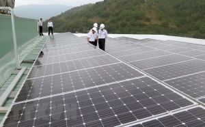 Dự án năng lượng mặt trời : thận trọng nhìn từ dự án Trà Ổ