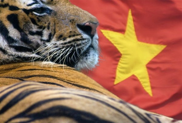 Điểm báo Pháp - Việt Nam có đủ đặc trưng của một con hổ Châu Á