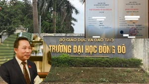 Tuổi trẻ Việt Nam, bằng giả Đông Đô, tham nhũng trong Bộ giao thông