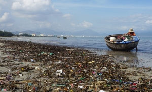 Đà Nẵng có vấn đề : phá nát chùa An Cư, bờ biển ô nhiễm