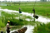 Giải pháp khí hậu của Việt Nam đang tàn phá Đồng bằng sông Cửu Long