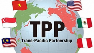 TPP-11 Đà Nẵng : người nói thành công kẻ nói thất bại