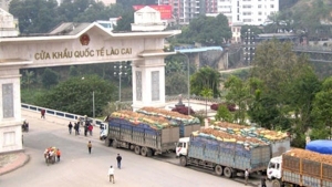 Kinh tế Việt Nam không phụ thuộc nhiều vào Trung Quốc