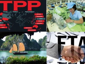 Ảnh hưởng của lao động Việt khi Mỹ rút khỏi TPP